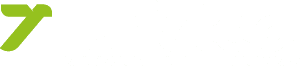 Turistea