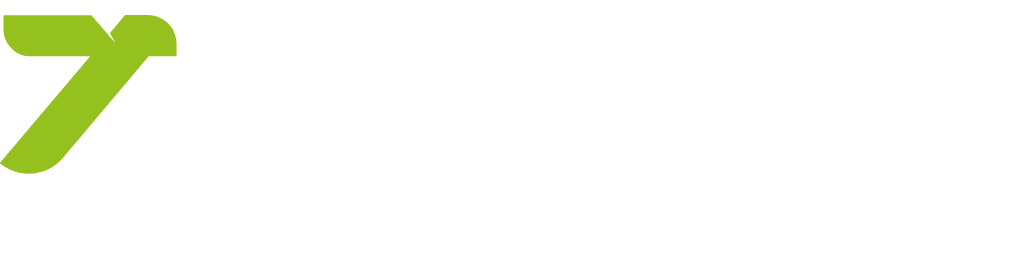 Turistea